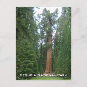 General Sherman Postkarte