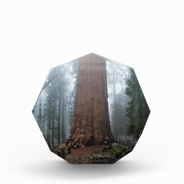 General Sherman Tree, Sequoia, CA Fotoblock (Vorderseite)