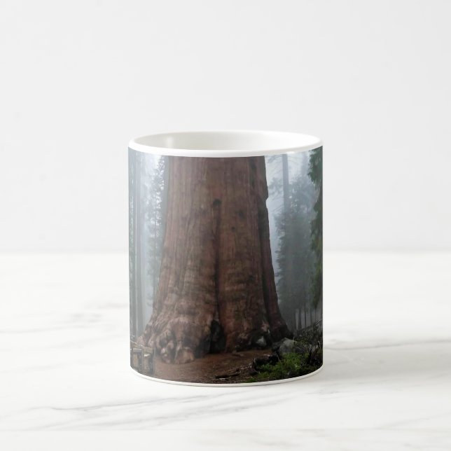 General Sherman Tree, Sequoia, CA Kaffeetasse (Mittel)