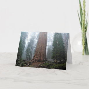 General Sherman Tree, Sequoia, CA Karte