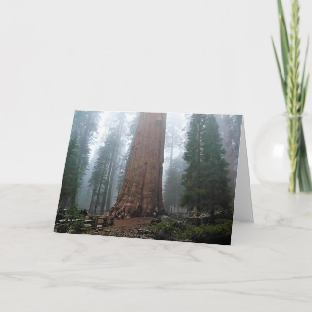 General Sherman Tree, Sequoia, CA Karte (Vorderseite)
