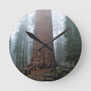 General Sherman Tree, Sequoia, CA Runde Wanduhr