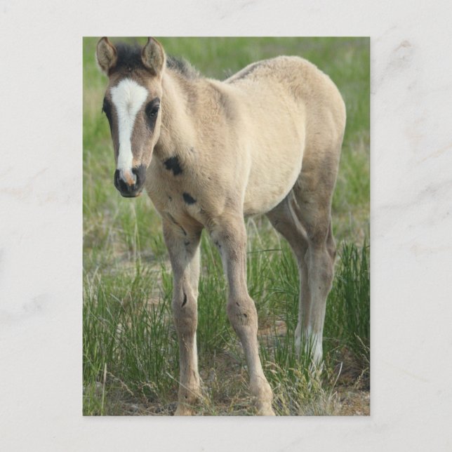 Generationen Postkarte (Vorderseite)