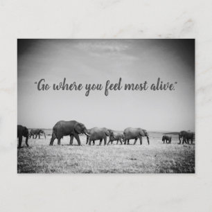 Generationen von Elefanten Grußkarte Postkarte