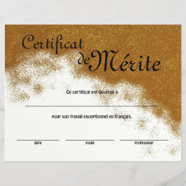 Generisches Exzellenzzertifikat der französischen Flyer
