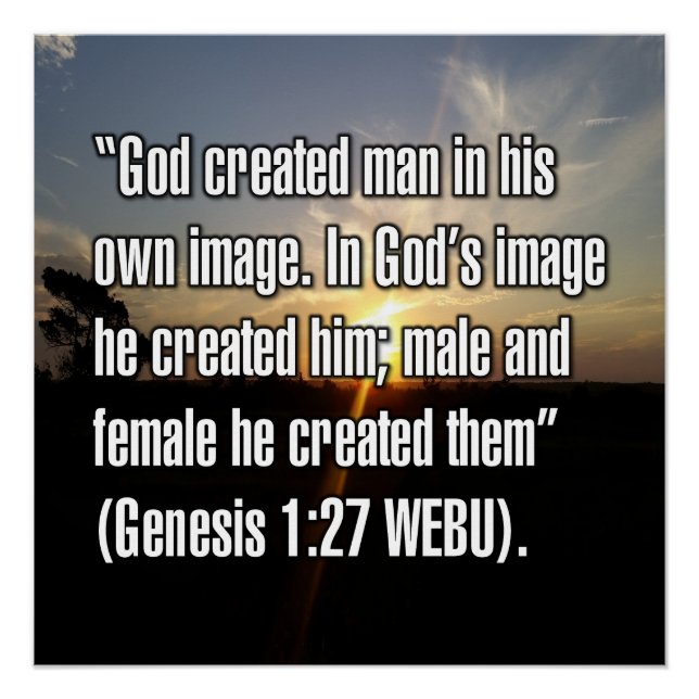 Genesis 1:27 WEBU Poster (Vorderseite)