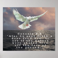 GENESIS 8:8