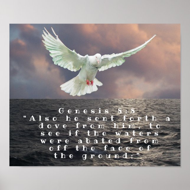 GENESIS 8:8 POSTER (Vorne)