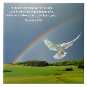 GENESIS 9:13 FLIESE