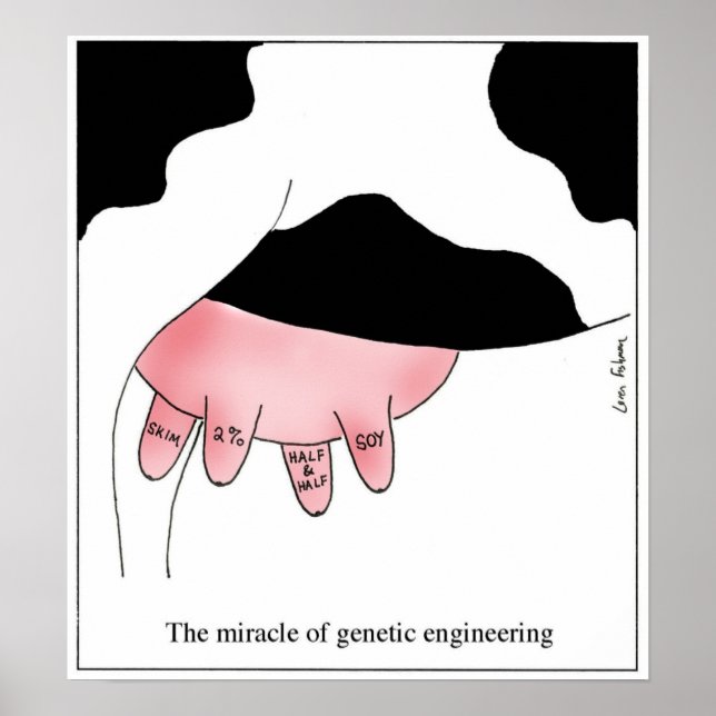 Genetic Engineering Cow GMO Udder Cartoon Poster (Vorne)
