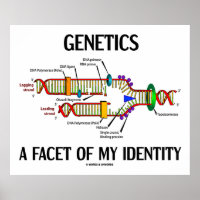 Genetik ist ein Aspekt meiner Identität (DNA-Repli