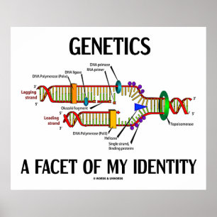 Genetik ist ein Aspekt meiner Identität (DNA-Repli Poster