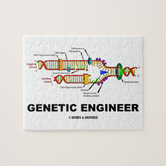 Genetische Reproduktion des Ingenieur-DNS Puzzle