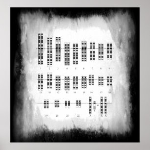 GENETISCHE VARIATION DES MENSCHEN - KARYOTYP POSTER