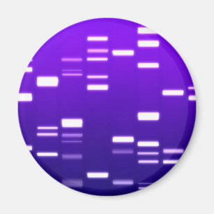 Genetischer Code DNA lila Magnet