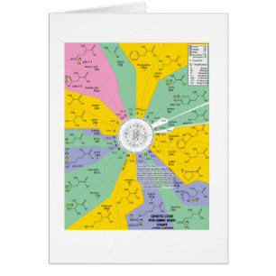 Genetischer Code für Aminosäuren (Diagramm-Rad)