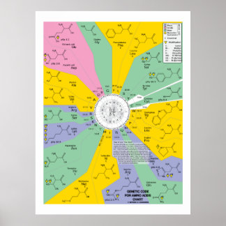 Genetischer Code für Aminosäuren (Diagramm Wheel) Poster