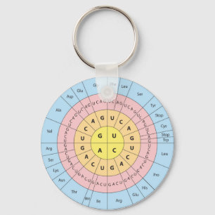 Genetischer Code-Schlüsselanhänger Schlüsselanhänger