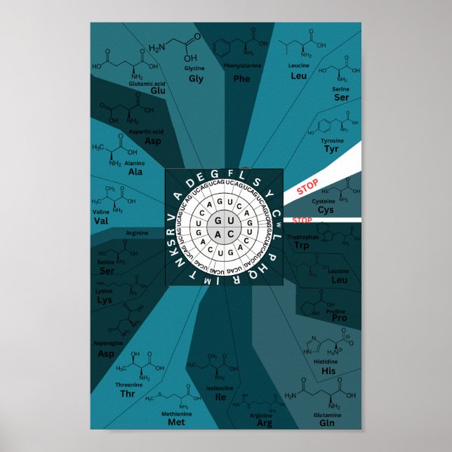 Genetisches Codon-Diagramm Rad der Aminosäuren bla Poster (Vorne)