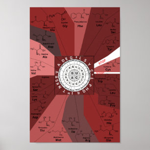 Genetisches Codon-Diagramm Rad der Aminosäuren in  Poster