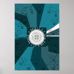 Genetisches Codon-Kartierrad der Aminosäuren blau Poster