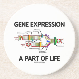 Genexpression ein Teil Leben (DNS-Reproduktion) Getränkeuntersetzer