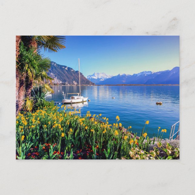 Genfer See in Montreux, Waadt, Schweiz Postkarte (Vorderseite)