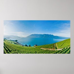 Genfersee (Gummilack Léman) 017 Poster