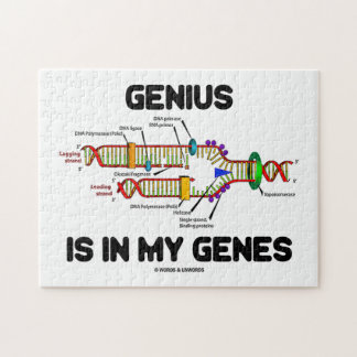 Genie befindet sich in meinem DNA-Replikations-Spa Puzzle