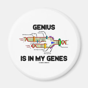 Genie ist in meinen Genen (DNS-Reproduktion) Magnet