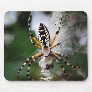 Genießen der Reißverschluss-Spinnen-Mausunterlage Mousepad