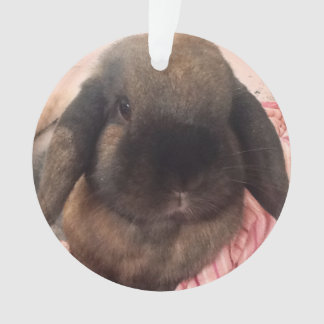 Genießen Sie, diesen kleinen Typ zu haben, an Ornament