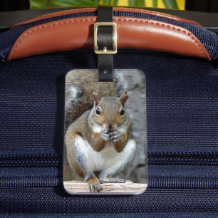 Genießen Sie einen Gepäckanhänger für die Leckerei