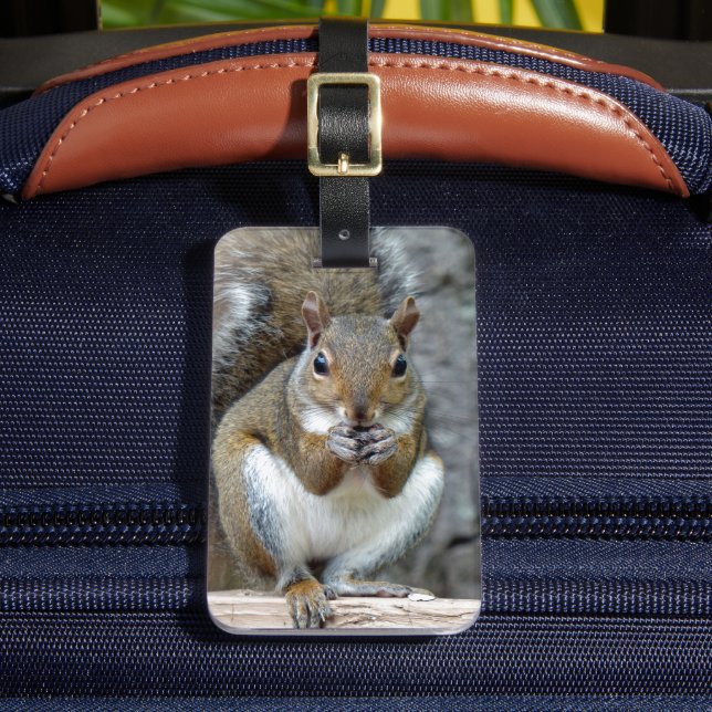 Genießen Sie einen Gepäckanhänger für die Leckerei (Vorderseite Insitu 2)