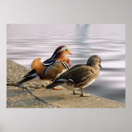 Genießen Sie einen ruhigen Abend! Poster