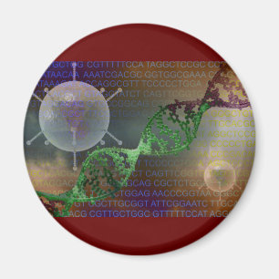 Gentherapie Magnet