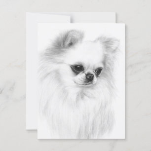 Gentle Chihuahua Handgemälde Postkarte