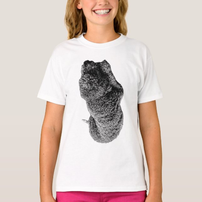 Gentle Curves of Loyalty T-Shirt (Vorderseite)