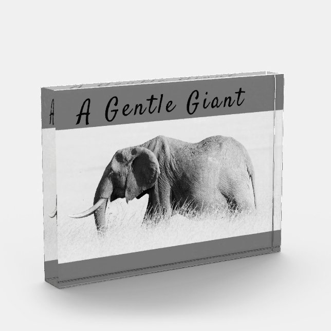 Gentle Giant Elephant Foto mit hoher Texttaste (Links)