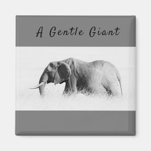 Gentle Giant Elephant Foto mit hoher Texttaste Magnet