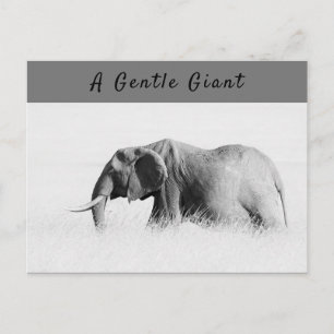 Gentle Giant Elephant Foto mit hoher Texttaste Postkarte