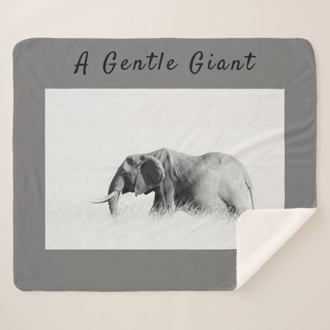 Gentle Giant Elephant Foto mit hoher Texttaste Sherpadecke (Vorderseite (Horizontal))
