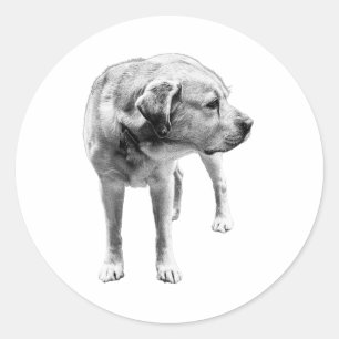 Gentle Labrador - gewidmetes Herz Runder Aufkleber