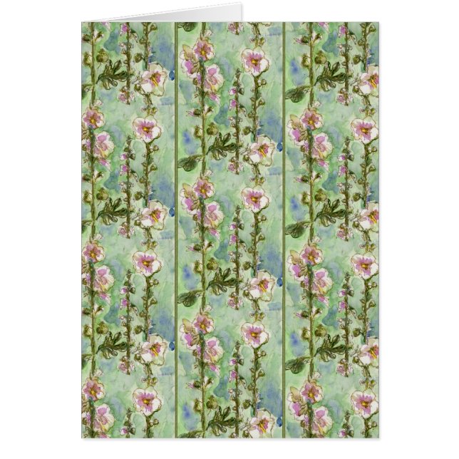 Gentle Mallow (Vorne)