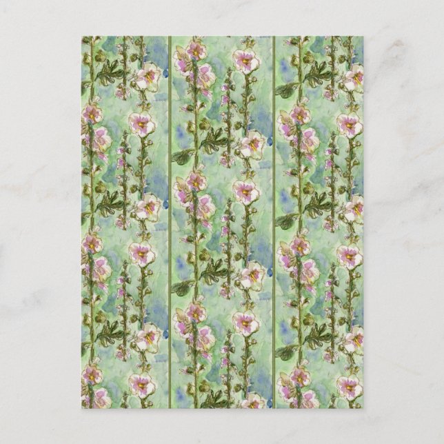 Gentle Mallow Postkarte (Vorderseite)
