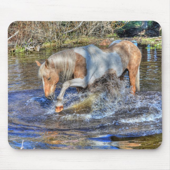 Gentle Palomino Pinto Stallion Playing in Pond Mousepad (Vorne)
