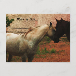 Gentle Whisper ... Postkarte