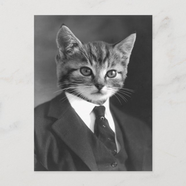 Gentleman Cat #1 Postcard Postkarte (Vorderseite)