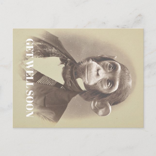 Gentleman Chimpanzee Sprichwort "Get Well bald" Postkarte (Vorderseite)