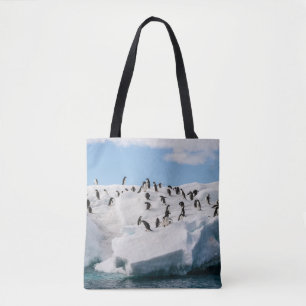 Gentoo Penguin Antarktis Iceberg Playtime